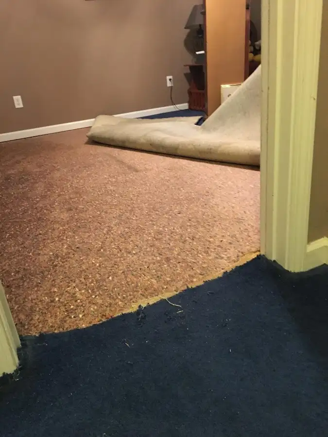 Carpet pad removal revealing water damage during Water Mitigation Services in Upper Saucon