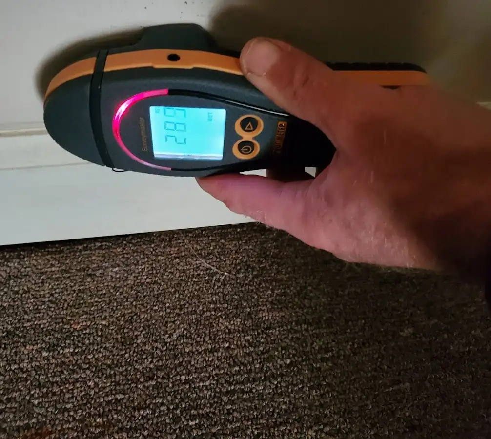 Moisture detection at baseboard during Mold Inspection & Testing in Upper Saucon